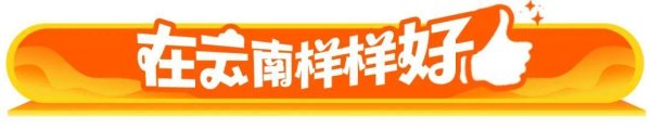 涨中宝 巾帼云品，向光而行丨在云南样样好